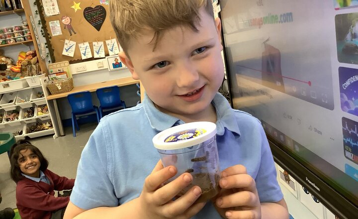 Image of Look at our caterpillars.