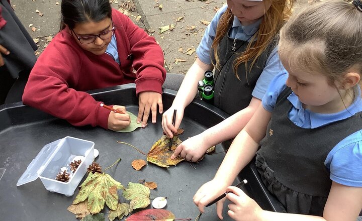 Image of We had a brilliant week exploring nature at lunchtime!  The children showed their creativity by making fantastic leaf creatures. We also became nature detectives for some keen bug spotting and quiet bird watching.