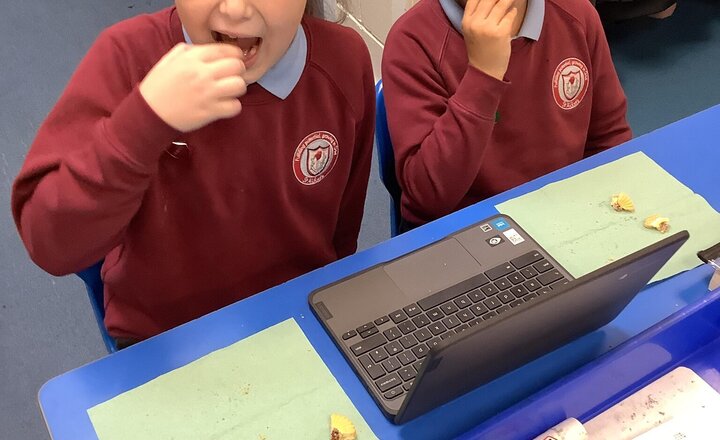 Image of Sampling biscuits and evaluating them for Design and Technology week.