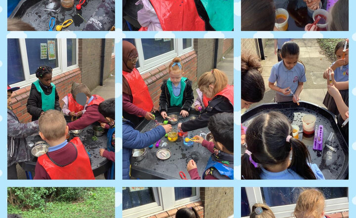 Image of Splash into Spring!