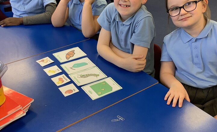 Image of Learning all about life cycles in Science.