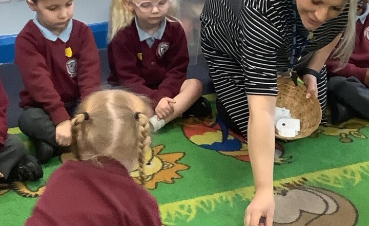 Image of Maths - Working on subitising and matching representations of 1 to 5.