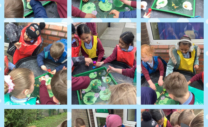 Image of The children have had a fantastic time exploring our chia seed "frog pond" at lunchtime! They loved the squishy sensory experience and imaginative play with our froggy friends—it was wonderful to see them so engaged and curious.