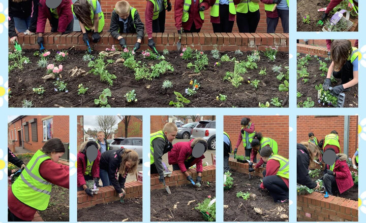 Image of Yesterday, the Worship Group joined Rev Alice for a trip to Mill Hill. The children worked hard planting flowers at the community centre, brightening the local area and representing the school brilliantly.