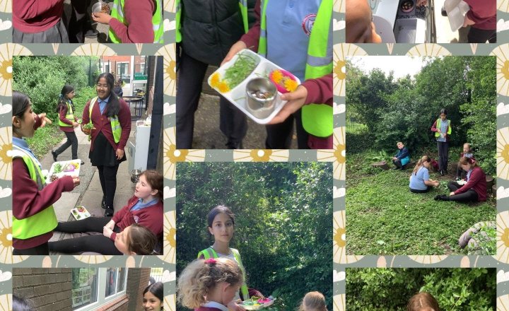 Image of Our pupils are loving lunchtime! From dinosaur adventures in the sandpit to creative play in the mud kitchen, there is so much to do. Year 6 even hosted "MasterChef" using garden plants as secret ingredients. Their creations look wonderful!