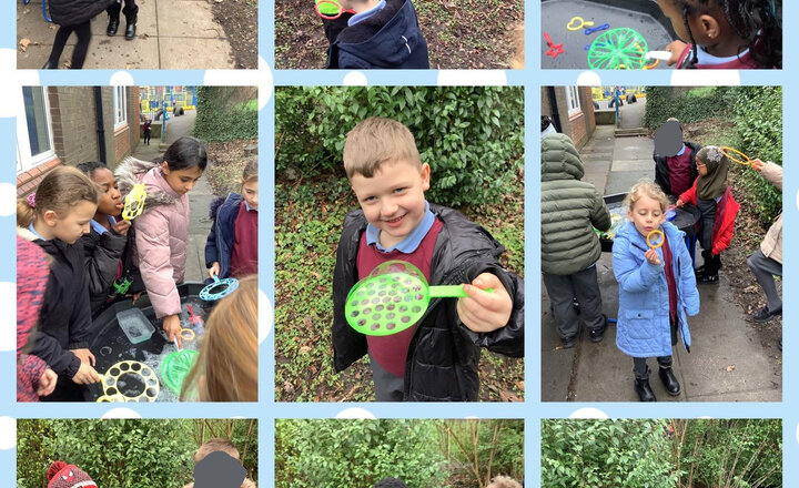 Image of Soapy Science & Lunchtime Fun!