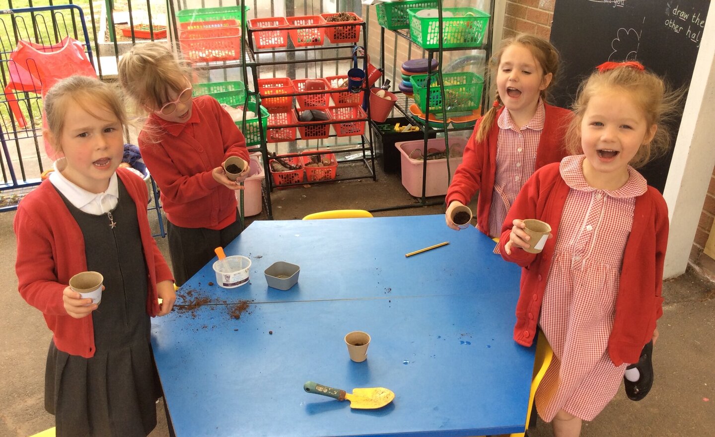 Image of Super Sunflowers and a Planting Experiment