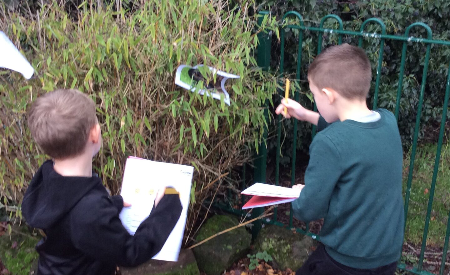 Image of Science: A Rainy Day in the 'Jungle' with Jane Goodall