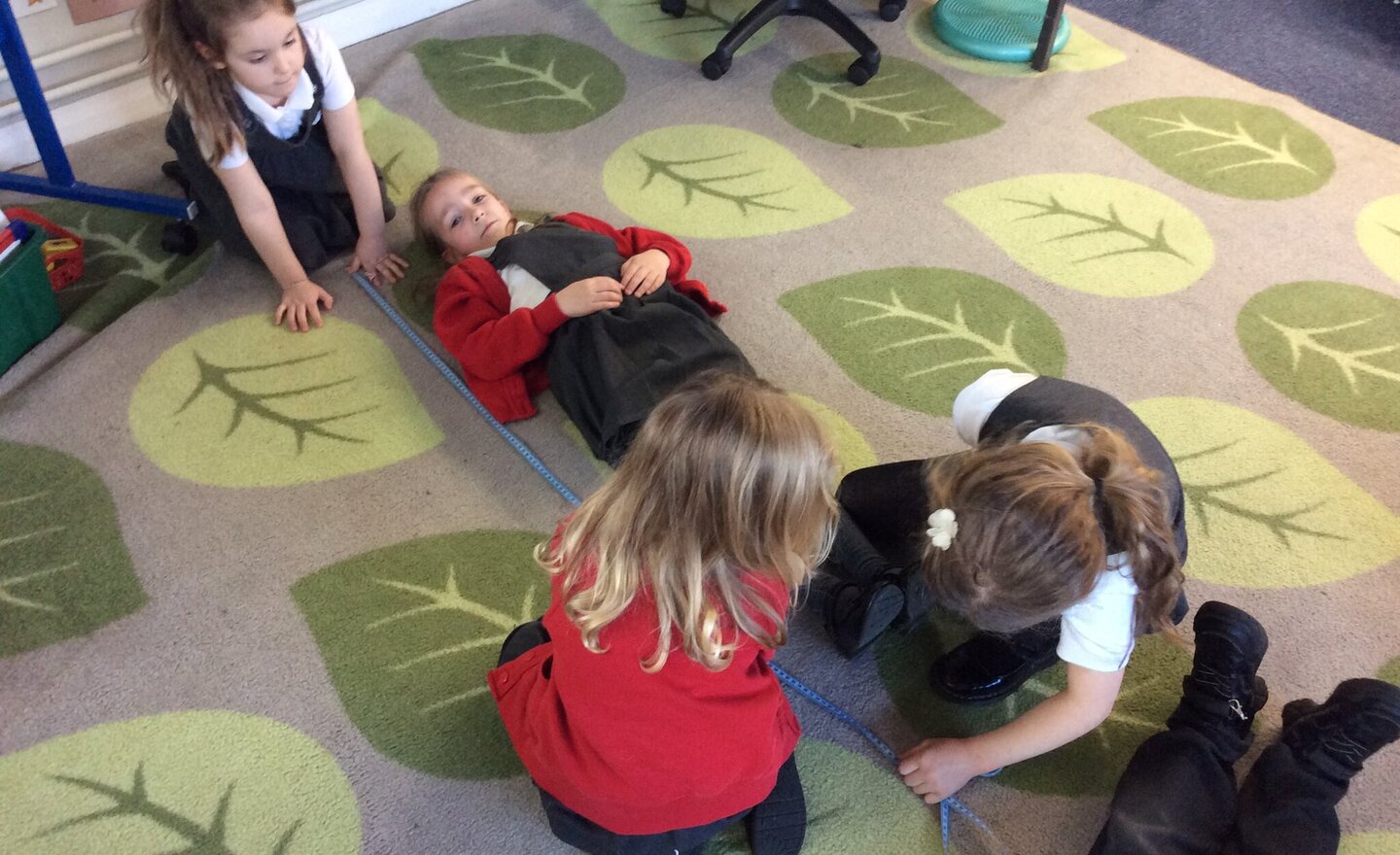 Image of How Do We Grow? A Tall Order for Our Young Scientists!