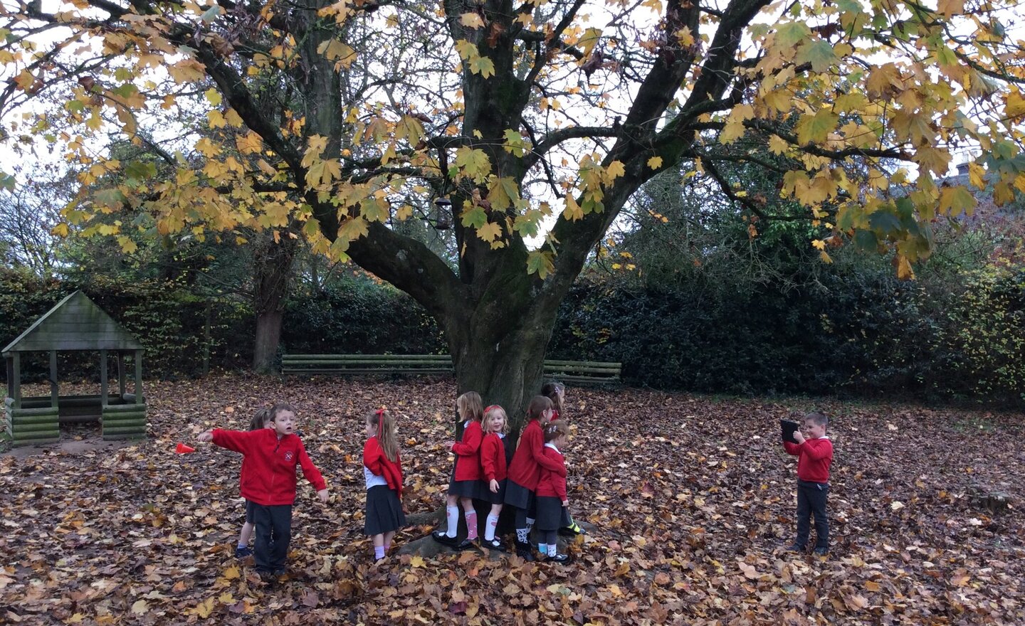 Image of Exploring features around our school