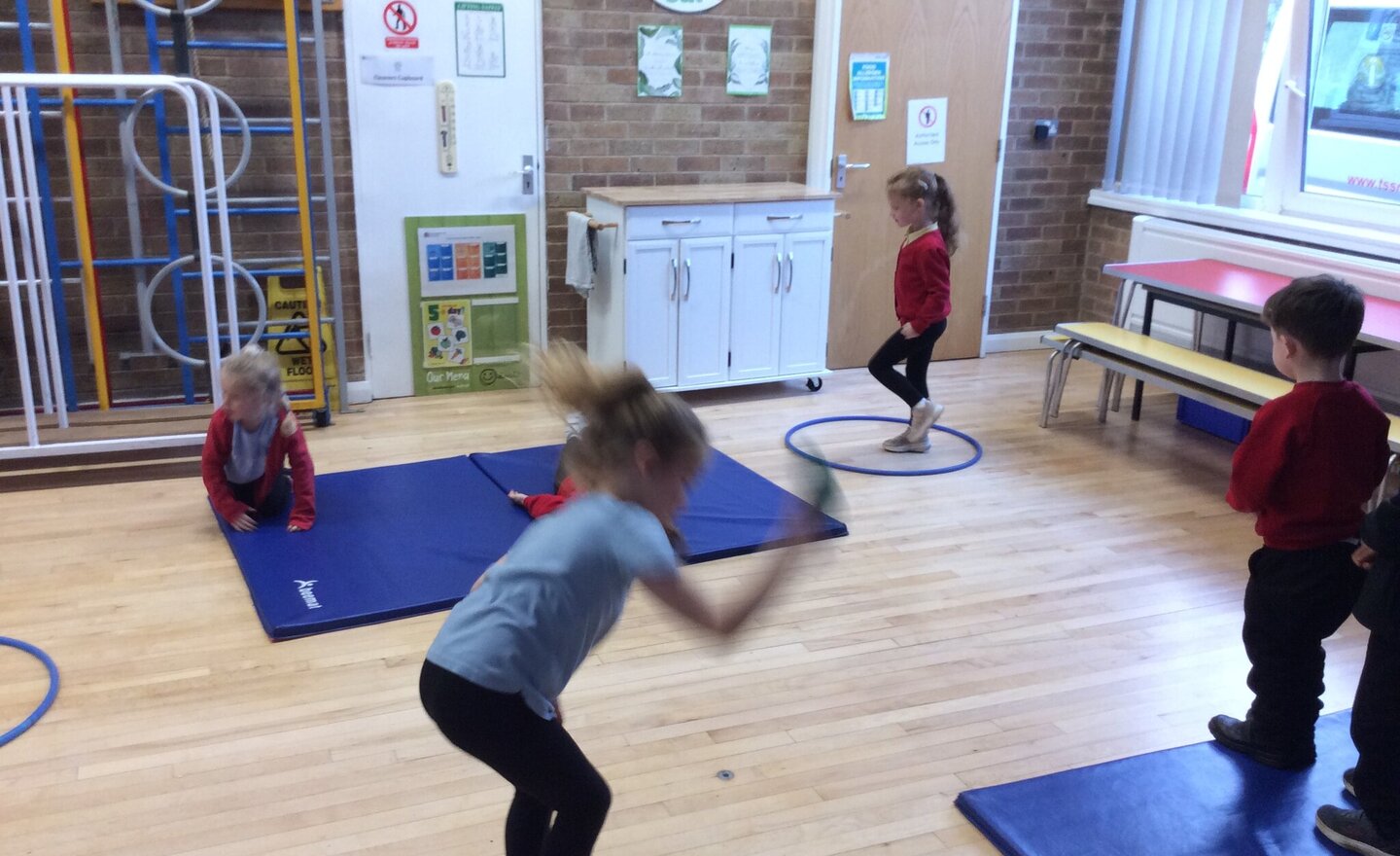 Image of Jungle Gymnastics