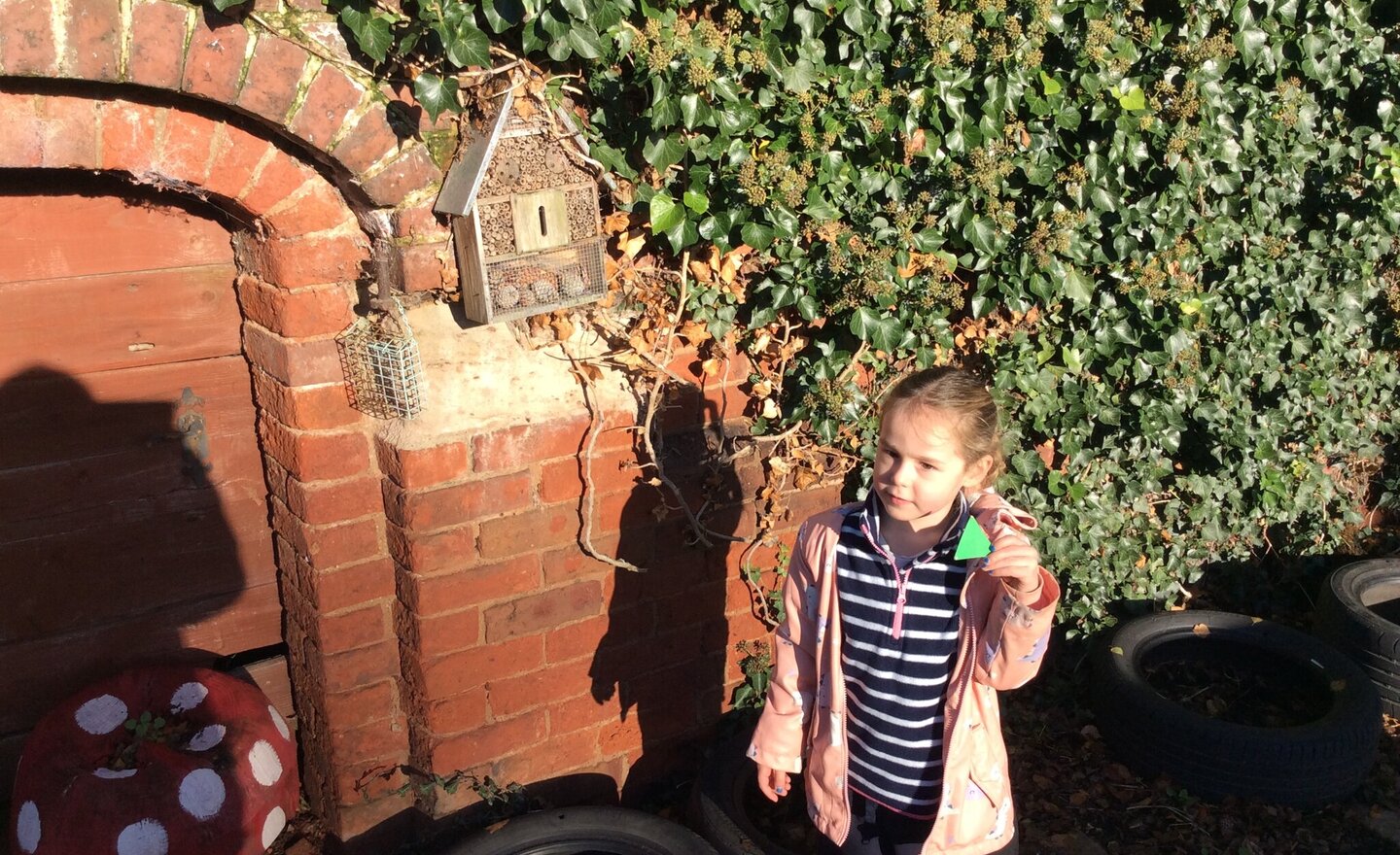 Image of Shapes in Nature