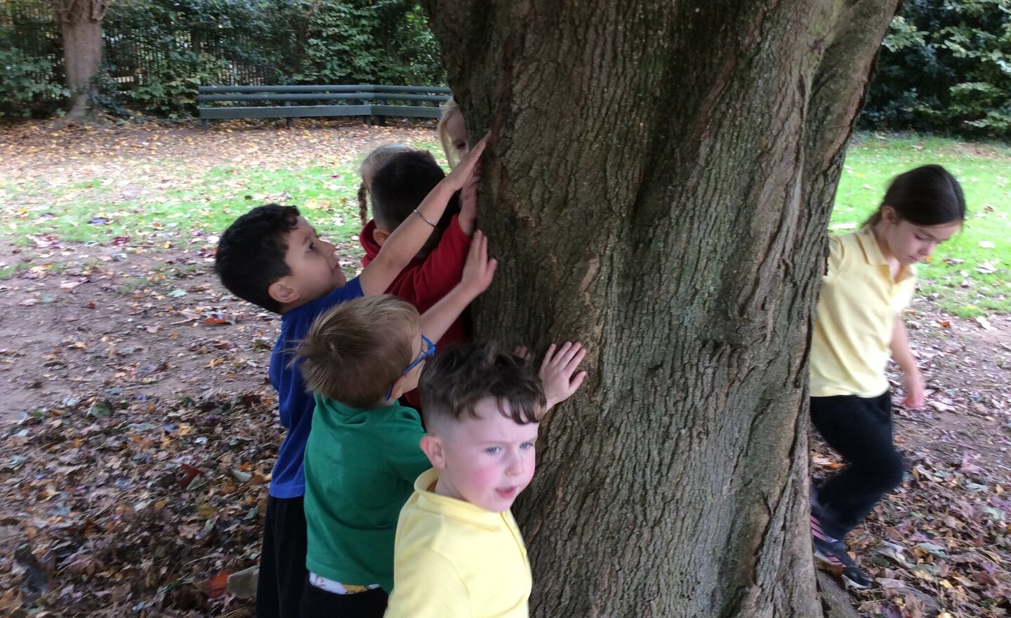 Image of Sensory Scavenger Hunt Fun!