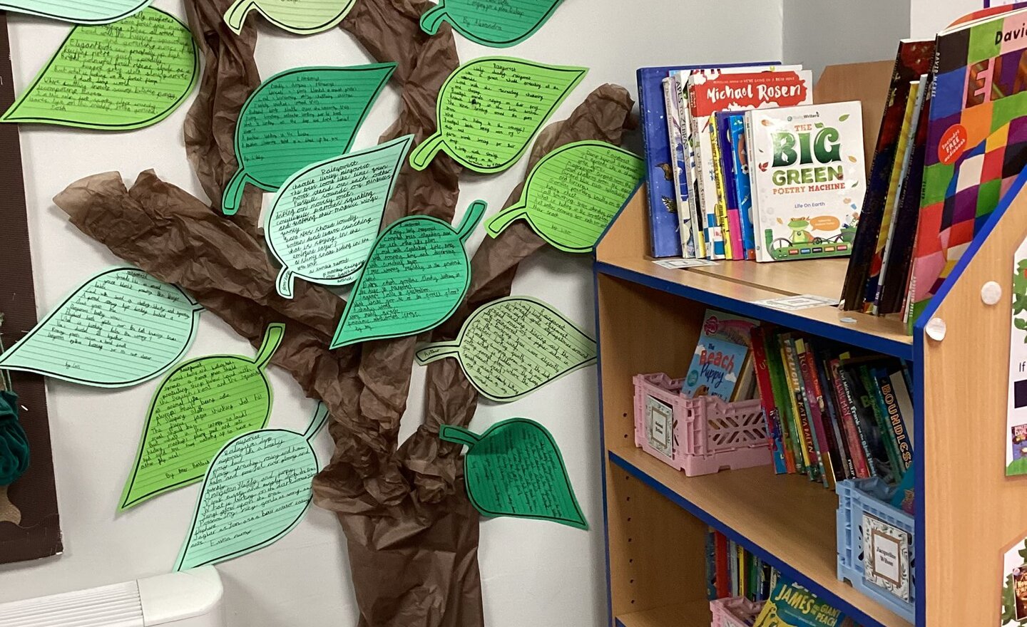 Image of Rainforest poems.