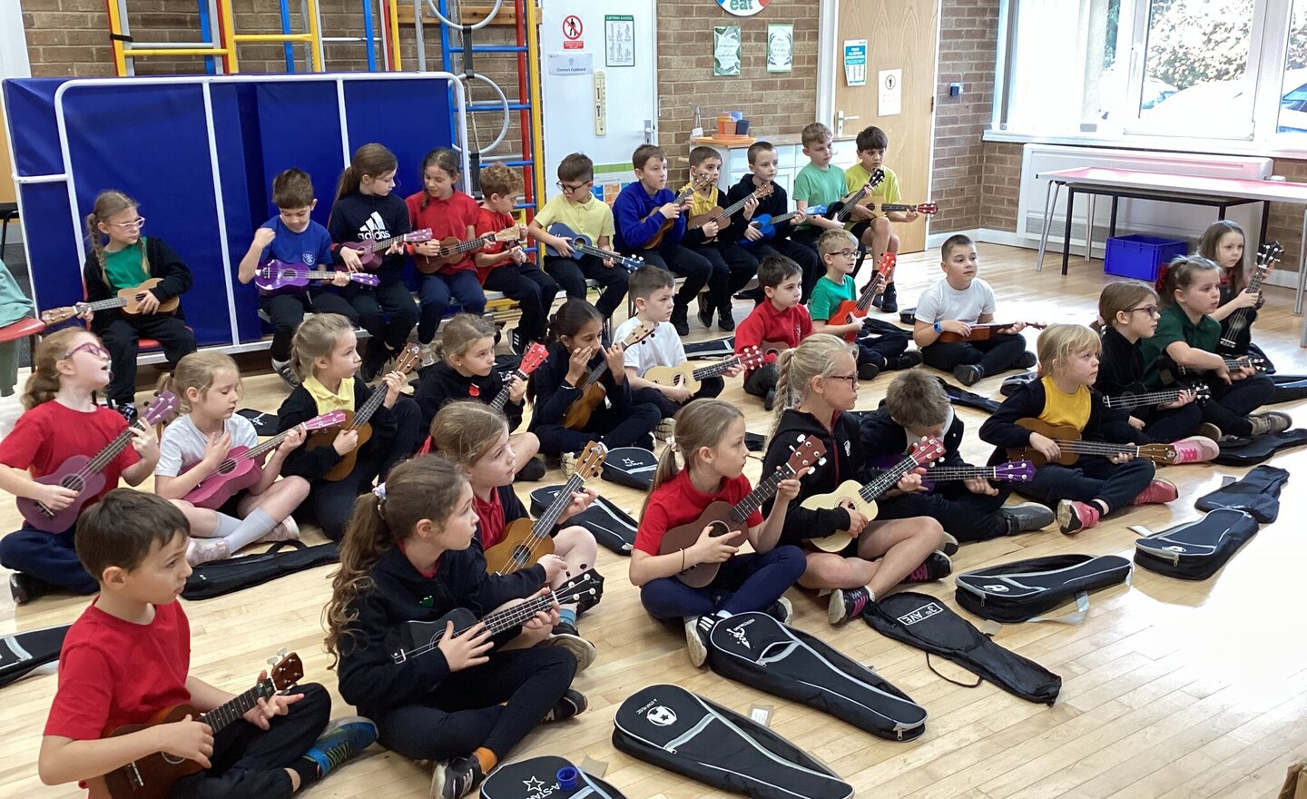 Image of Ukulele lessons