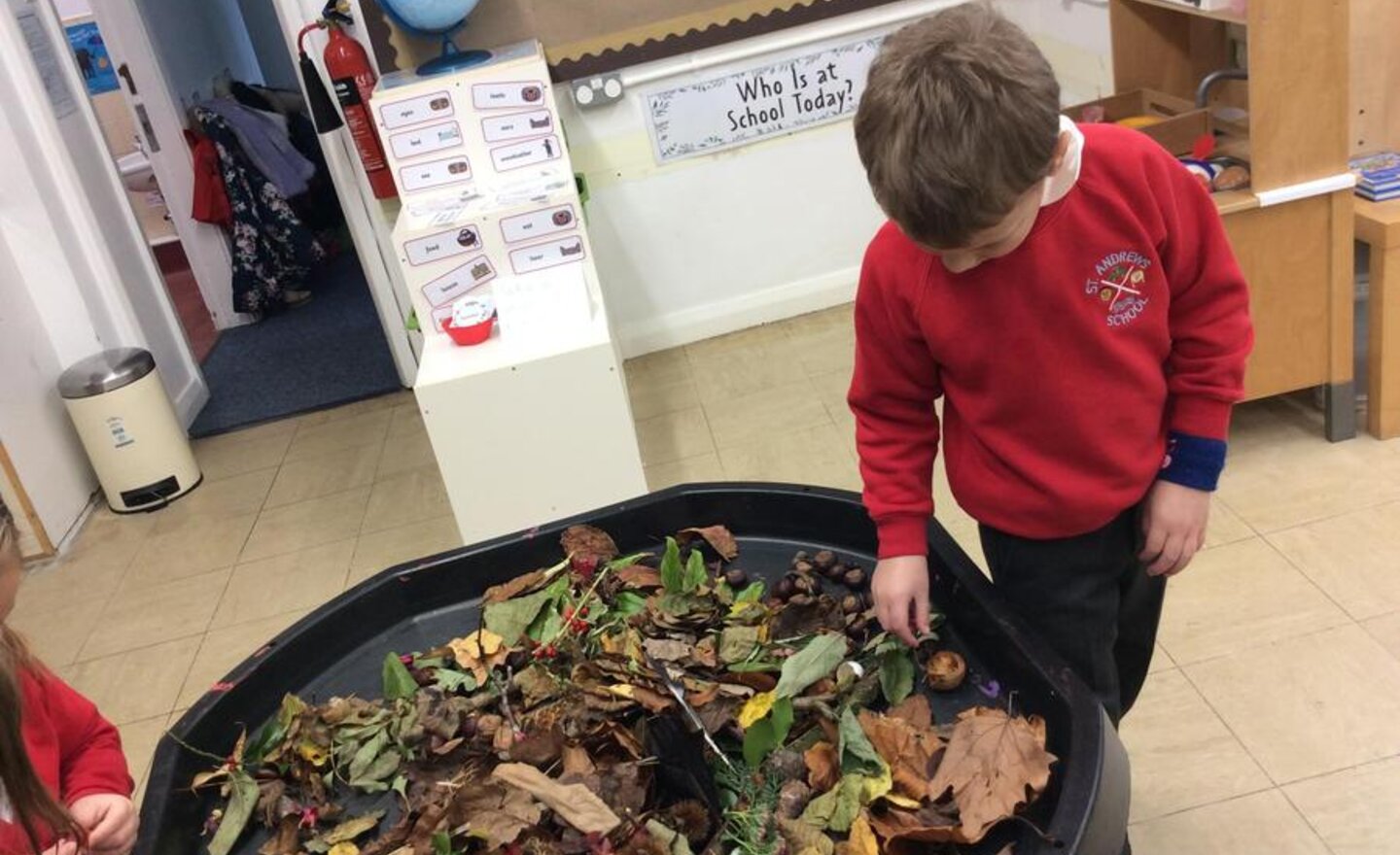 Image of Exploring our senses