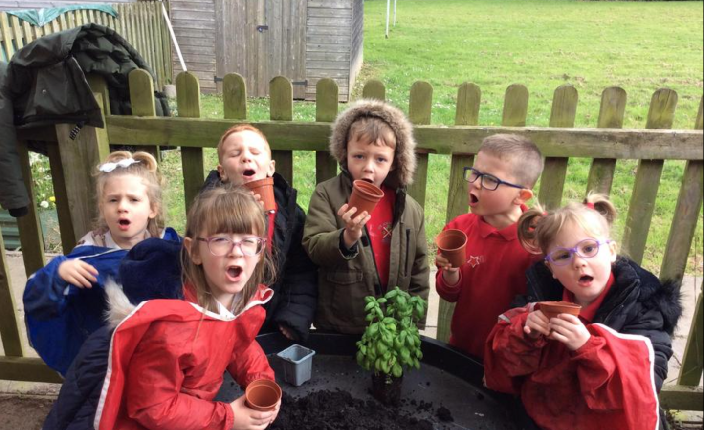 Image of The Enormous Turnip!