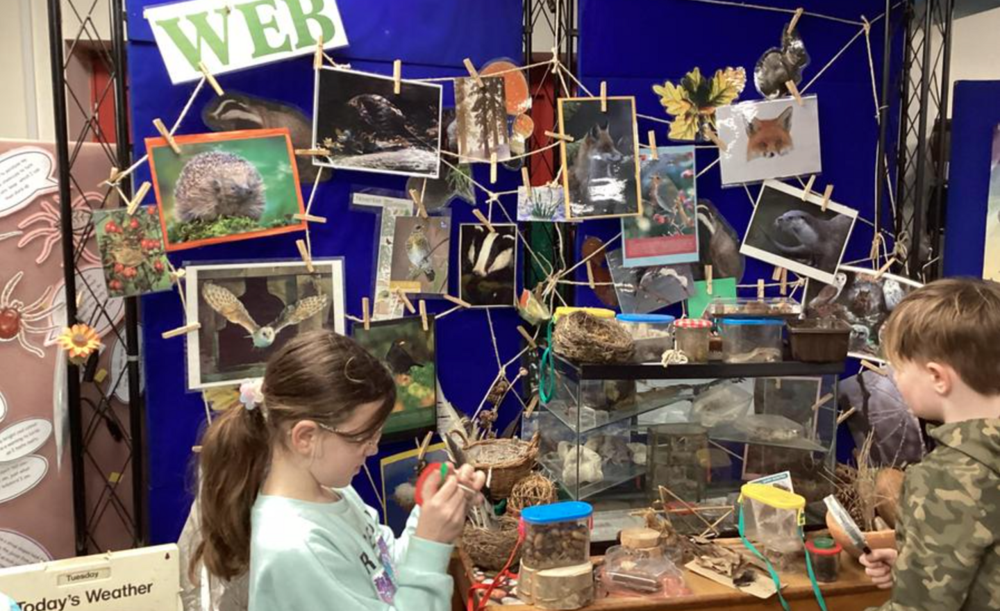 Image of Trip to Rosliston Forestry Centre