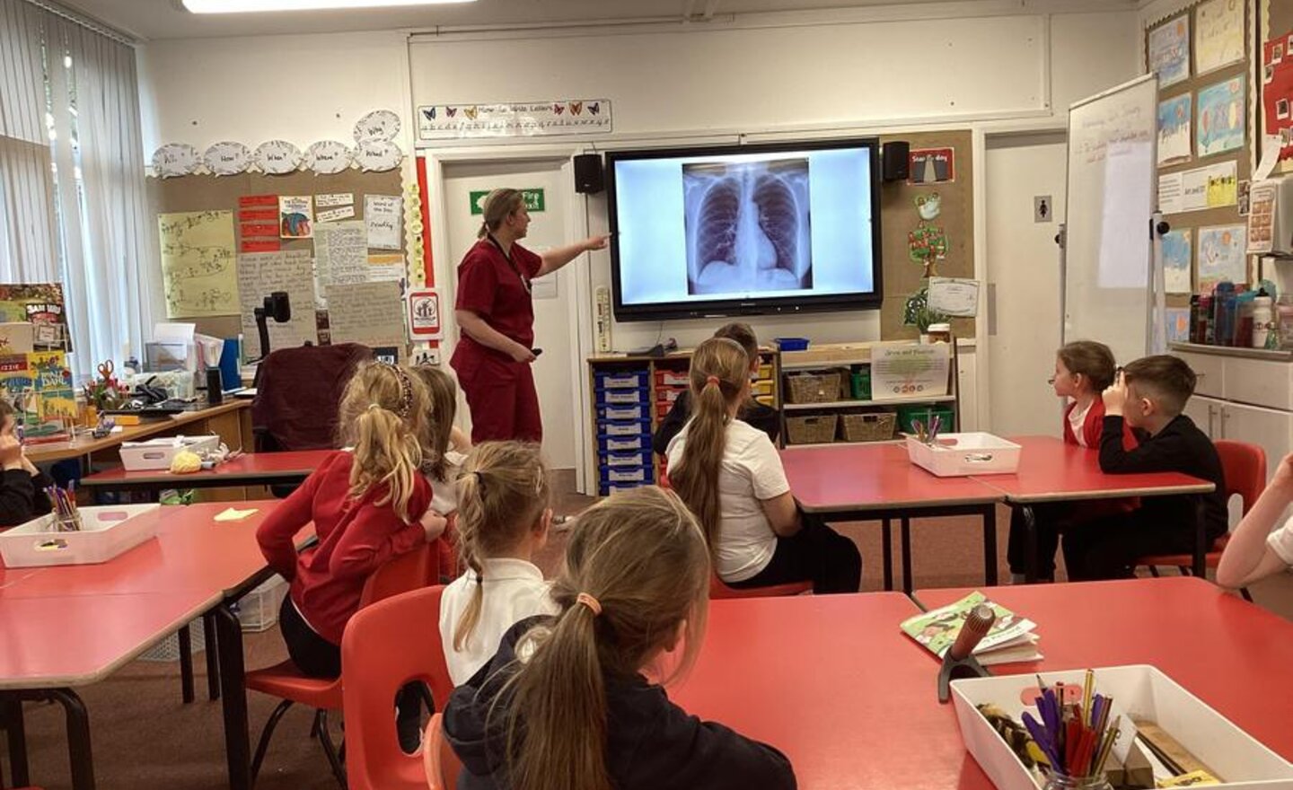 Image of How do our muscles work?