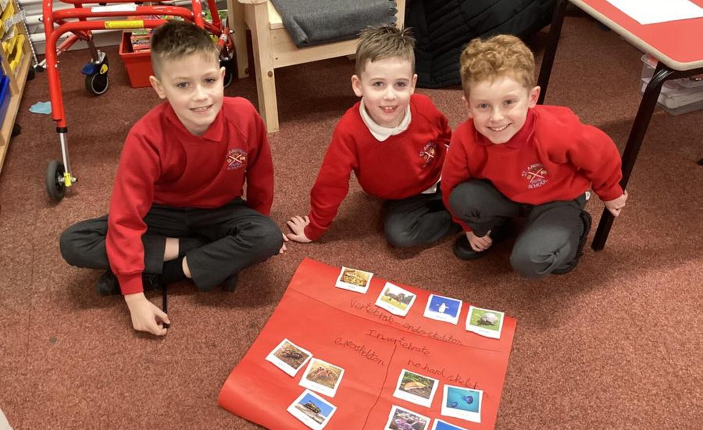 Image of The role of a skeleton