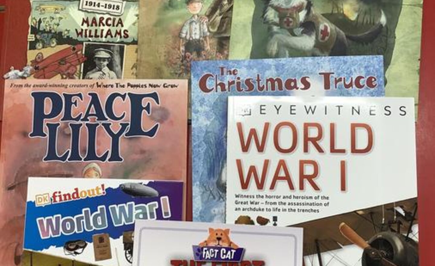 Image of Loving our World War 1unit