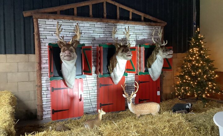 Image of Santa Express