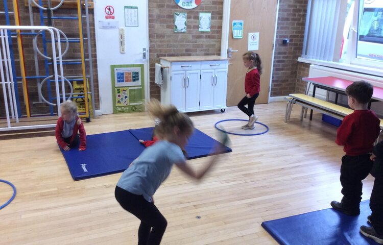 Image of Jungle Gymnastics