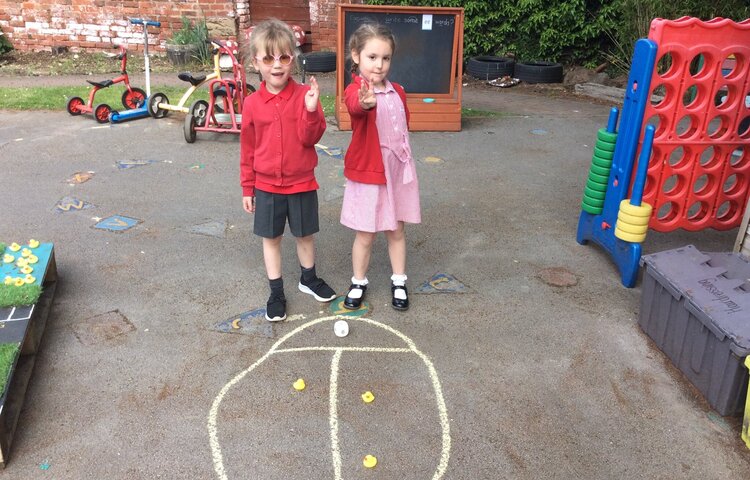 Image of Double the Fun with Ladybirds