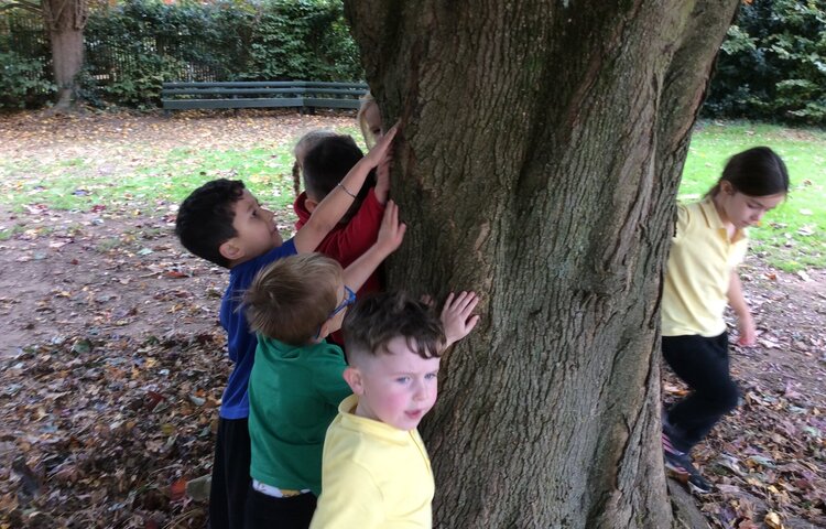 Image of Sensory Scavenger Hunt Fun!