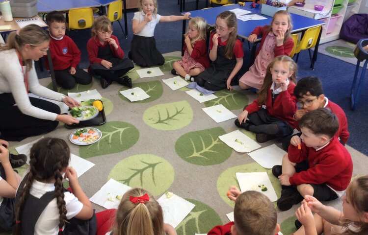 Image of Taste Explorers on a Fruit & Veg Adventure!