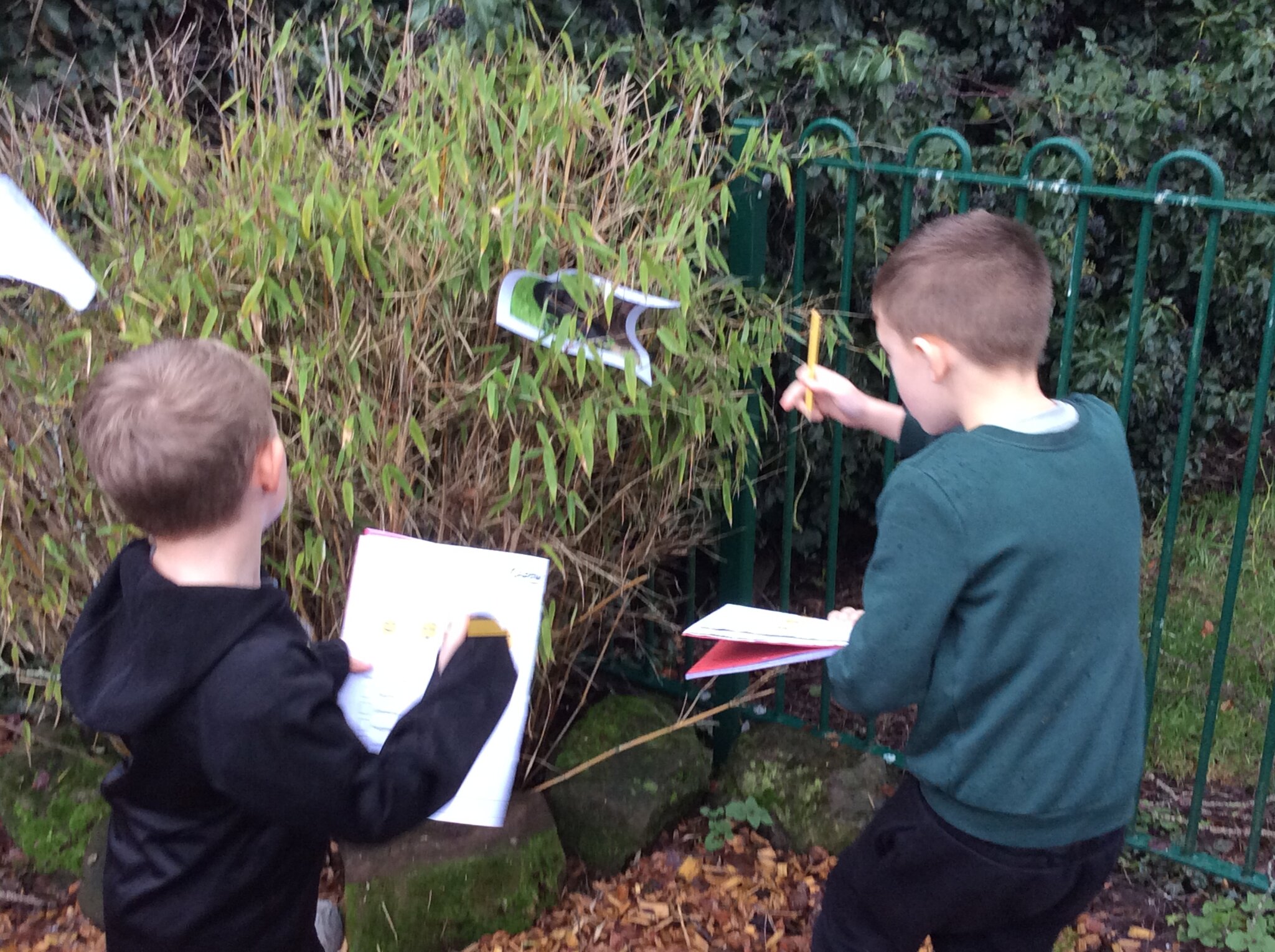 Image of Science: A Rainy Day in the 'Jungle' with Jane Goodall