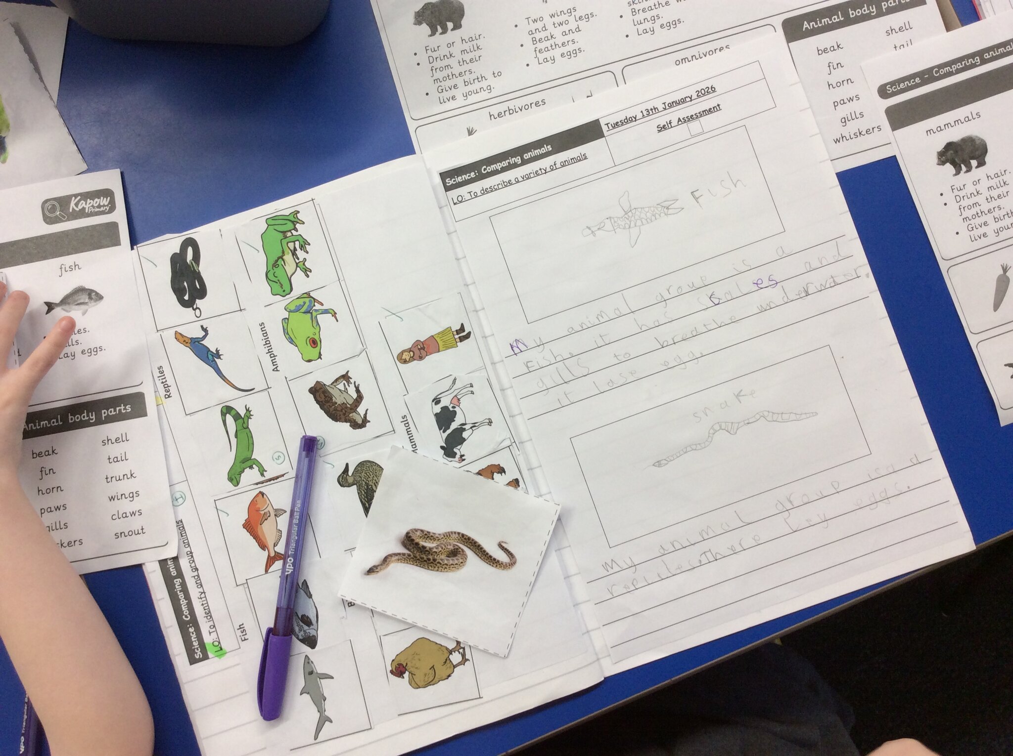 Image of Animal Kingdom Explorers!