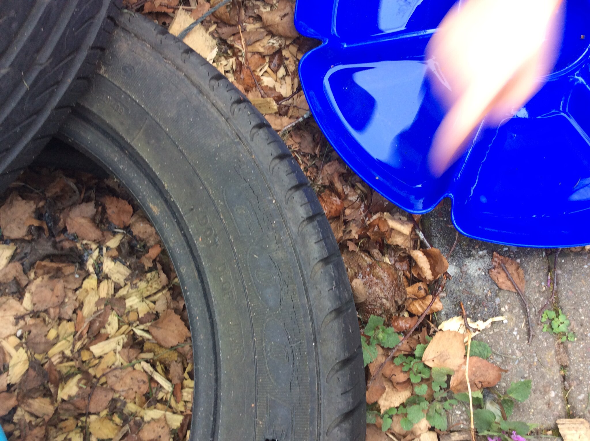 Image of A Special Visitor in Our Outdoor Area!