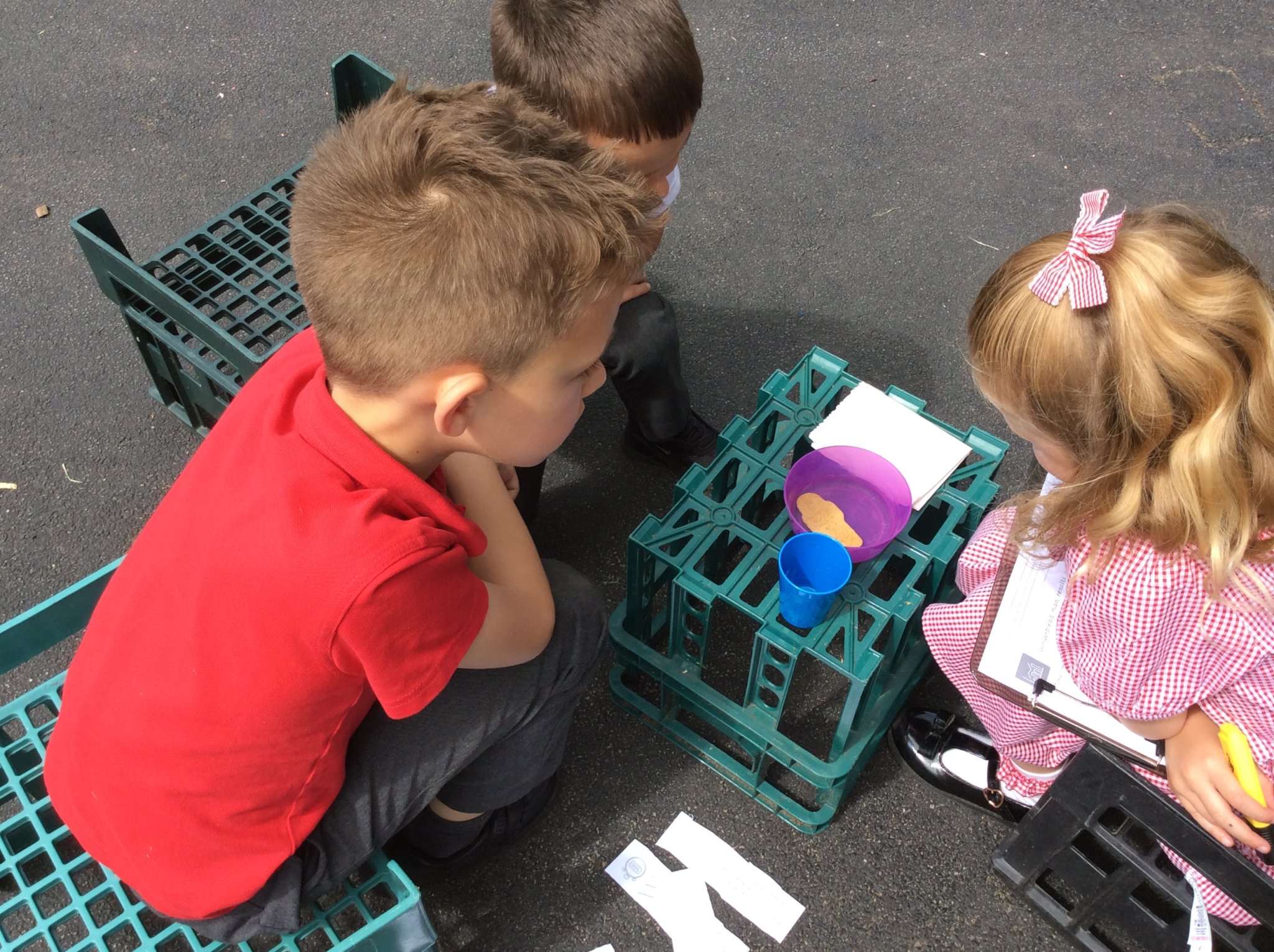 Image of Science Investigation: Is the Gingerbread Man Waterproof?