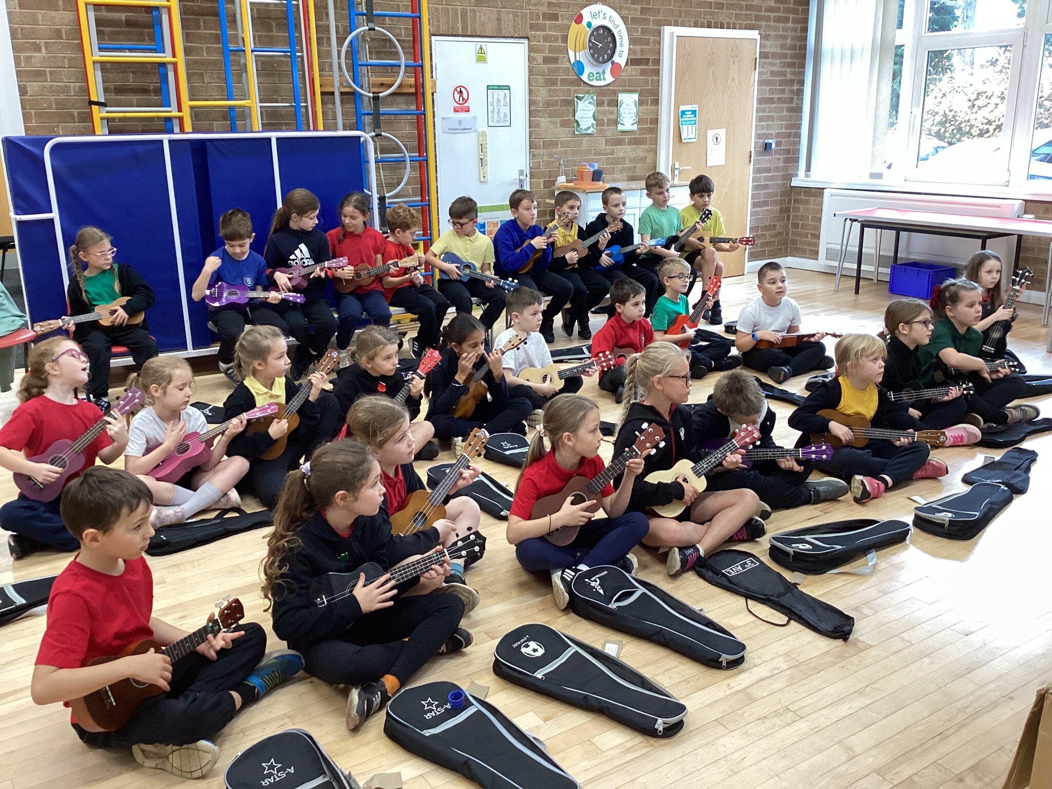 Image of Ukulele lessons