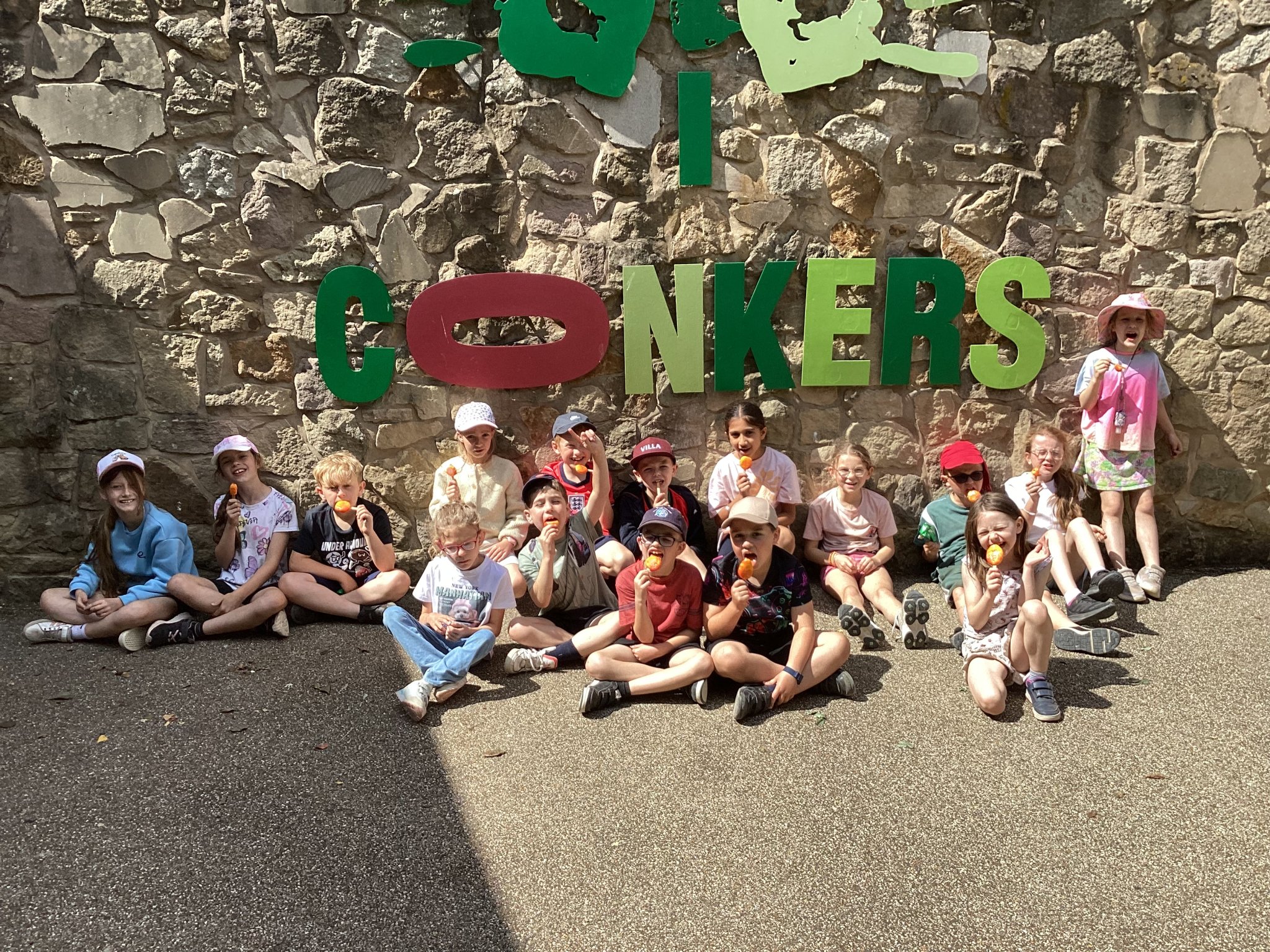 Image of Conkers trip
