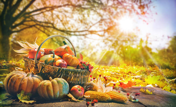 Image of Harvest Festival at Church 