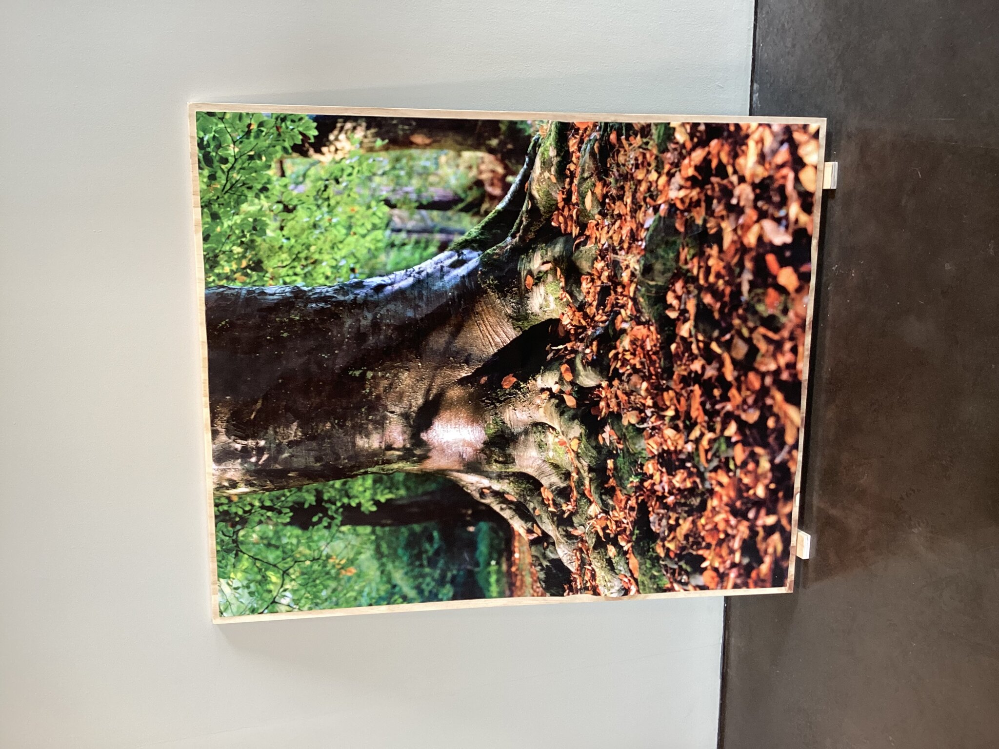Image of Art gallery trip