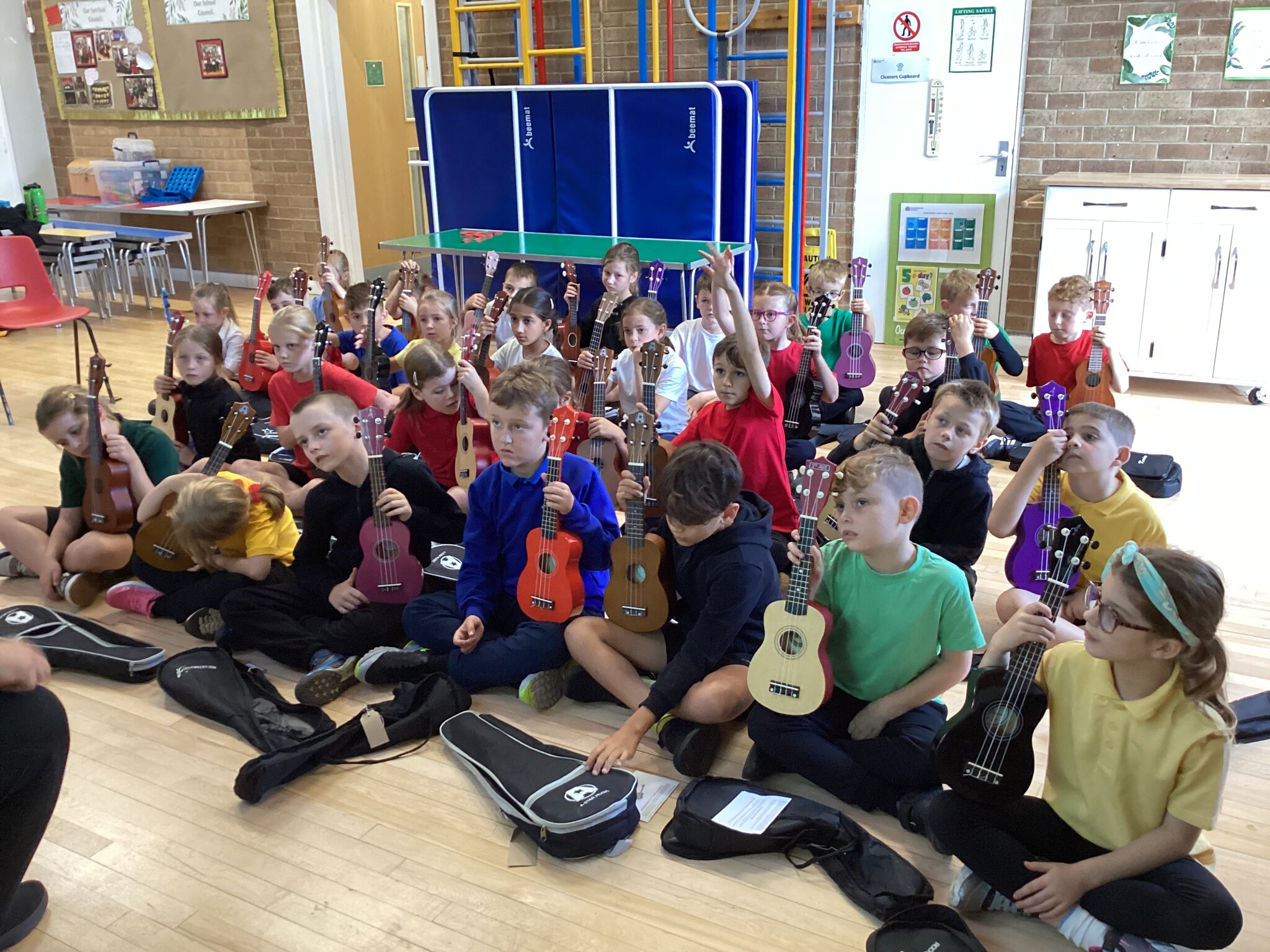 Image of Ukulele lessons 