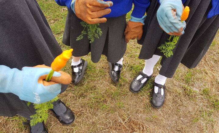 Image of Gardening 