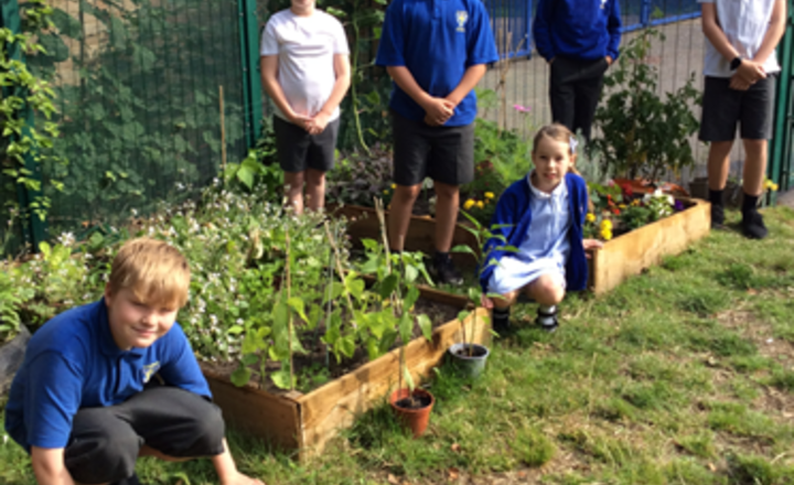 Image of Copper Class garden 