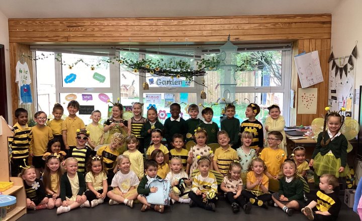 Image of Buzzing with Learning: Celebrating World Bee Day
