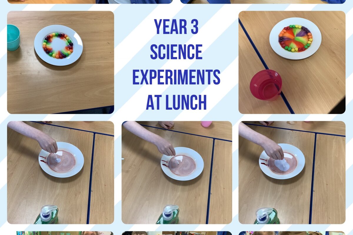 Year 3: Lunchtime Science Experiment | St Barnabas Primary School, A ...