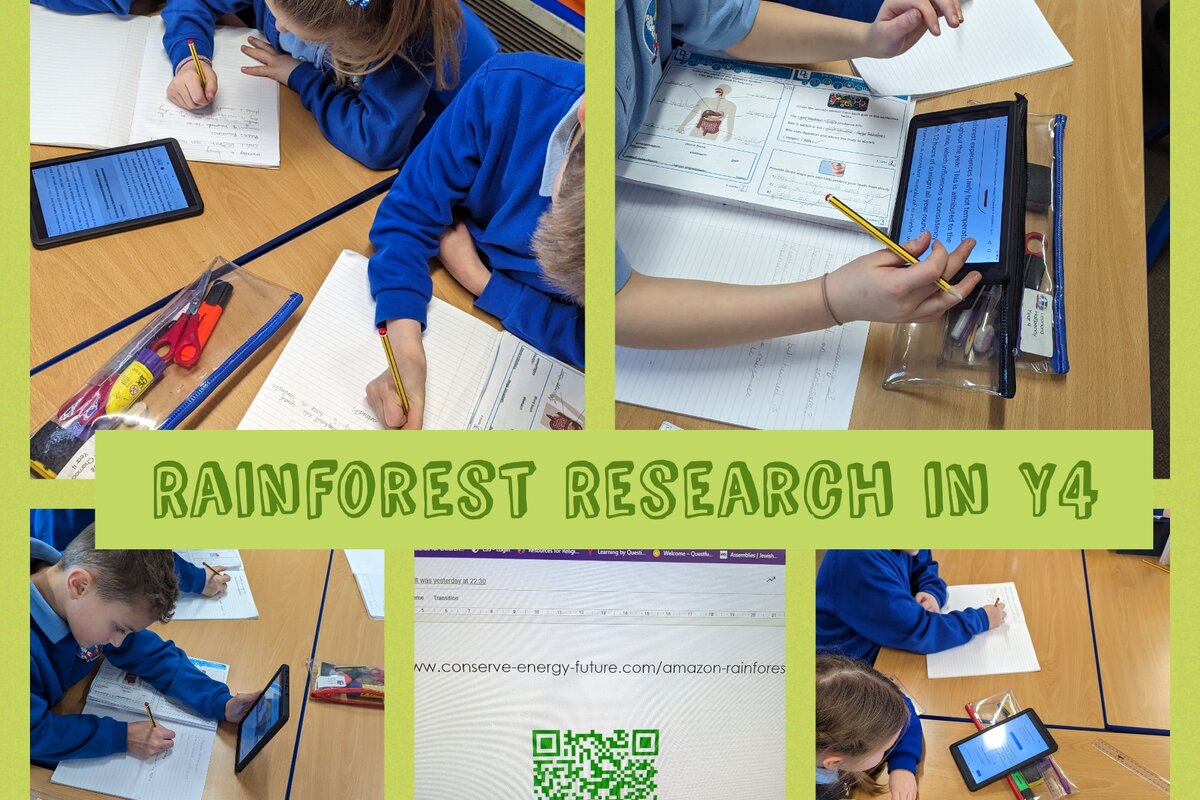 Rainforest - Energy Education