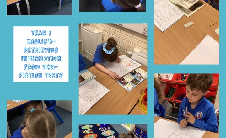 Image of Year 1 English- Retrieving Information From Non-Fiction Texts