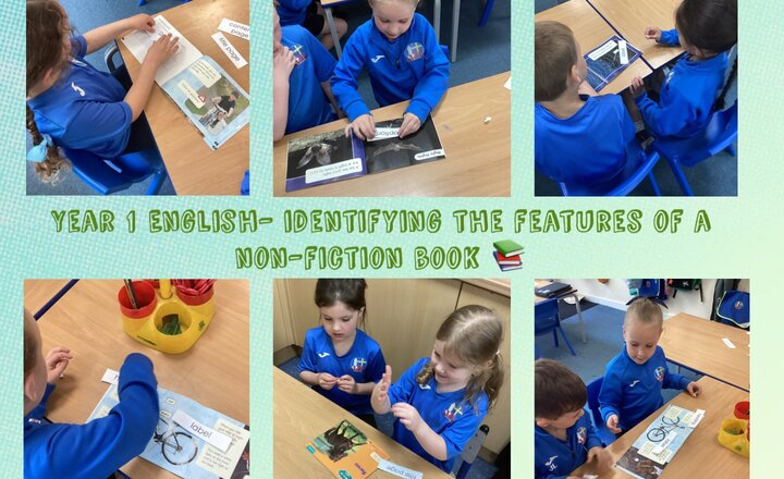 Image of Year 1 English- Identifying the Features of a Non-Fiction  Book 