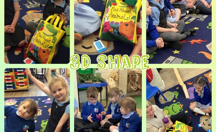 Image of Reception - Maths - 3D Shape 