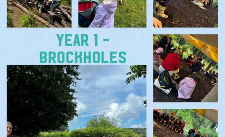 Image of Year 1 Brockholes Nature Reserve Trip