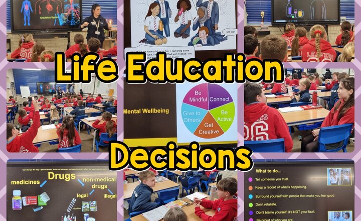 Image of Year 6: Coram Life Education