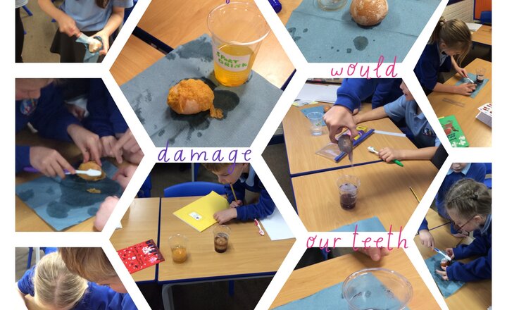 Image of Year 4 Tooth Decay Investigation